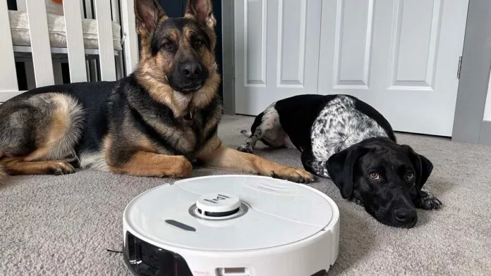 The best robot mops for 2024: Expert tested and reviewed