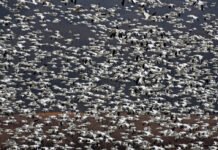 Quantitative Finance Experts Warn: Graduates Are Unprepared for the AI-Driven Future Quantitative finance experts believe graduates ill-equipped for AI future