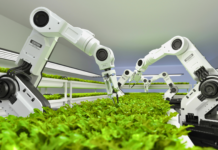 Physical AI Brings Robots Real-World Common Sense! (50 chars) robots AI smart systems processes